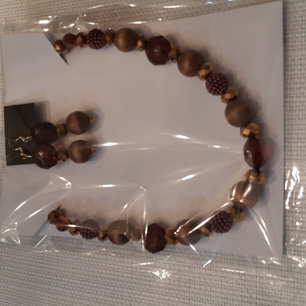 Brown and copper necklace and earrings
